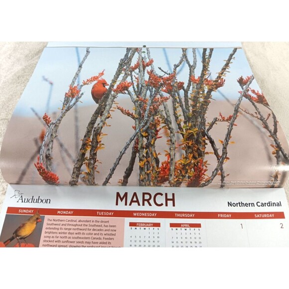 Audubon Society 2024 Wall Calendar 12 Months Protecting Birds and Nature - Picture 4 of 12